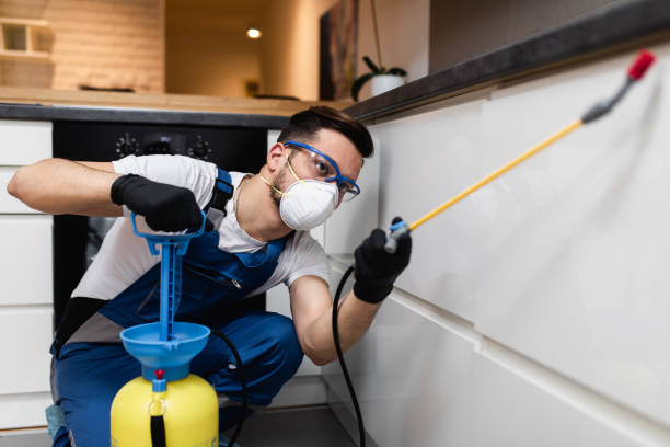 Professional Pest Control in Kimball, TN
