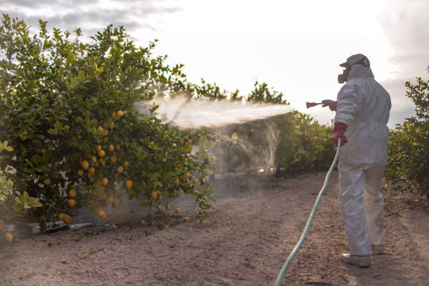 Best Pest Control Near Me in Kimball, TN