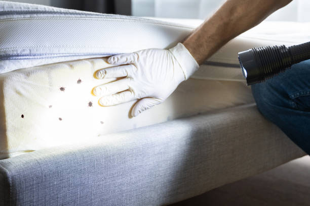 Pest Control Cost in Kimball, TN