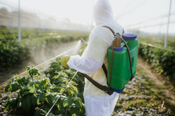 Professional Pest Control in Kimball, TN
